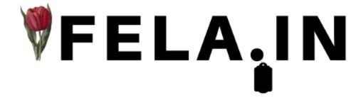 Fela.in